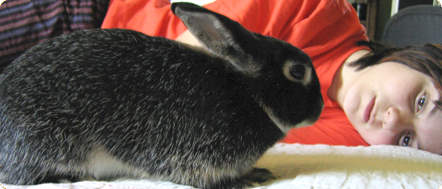Bun Bun and Jamie having a quiet moment!